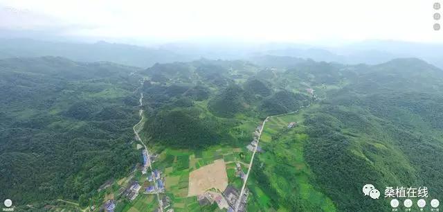 微信图片_20180717101634.jpg